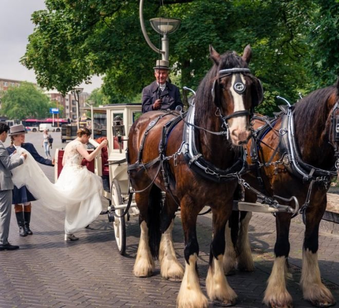 trouwen met een koets landgoed Brakkestyn trouwfotograaf nijmegen portretfotograaf Nijmegen
